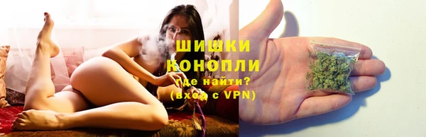 прущие грибы Бикин