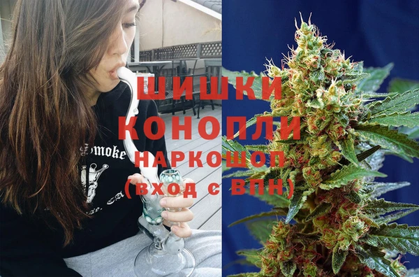 шишки Михайлов