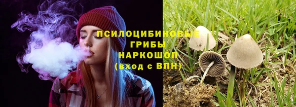 шишки Михайлов