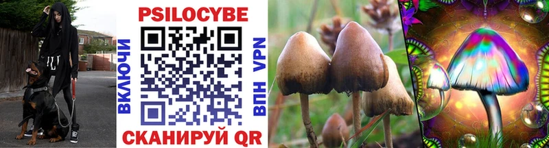 Купить закладки  Козьмодемьянск  Галлюциногенные грибы прущие грибы 